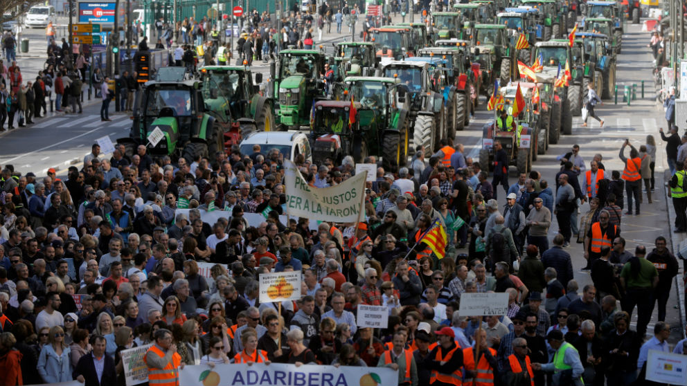 Cientos de tractores protestaron en Valencia. Foto: EFE