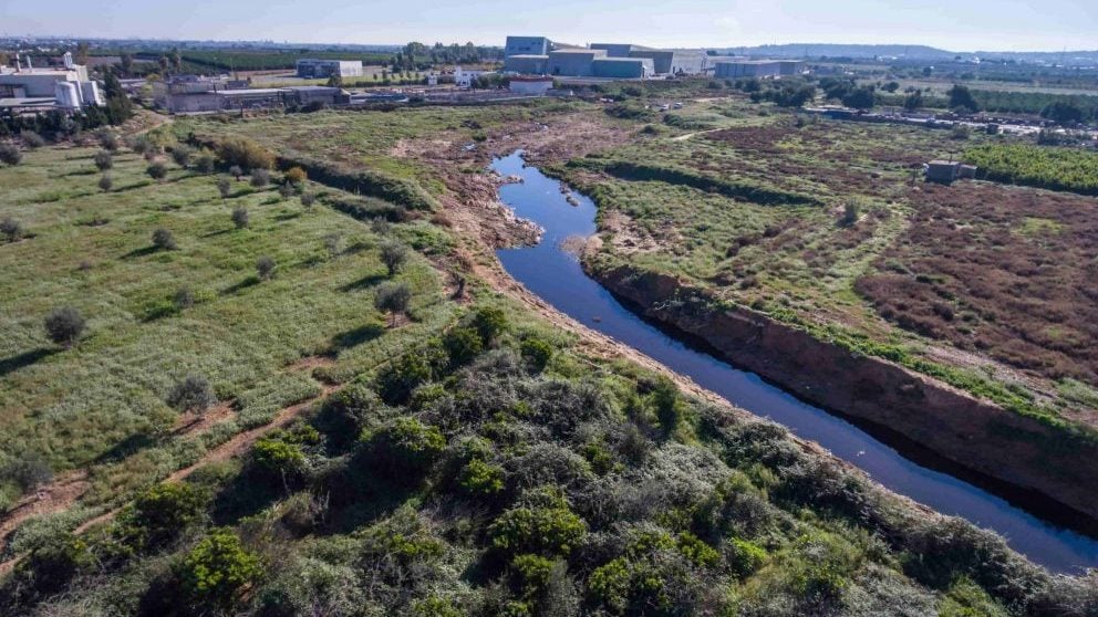 Proyecto Cañaveral después de las labores de limpieza y reforestación @Heieneken