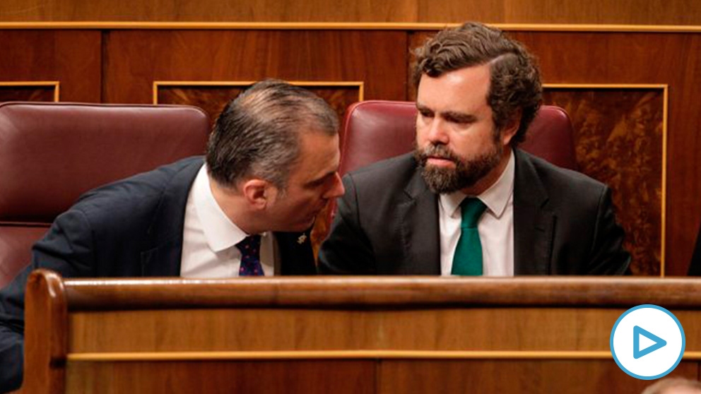 Los diputados de Vox Javier Ortega Smith e Iván Espinosa de los Monteros durante la sesión de investidura de Pedro Sánchez. (Foto: Francisco Toledo).