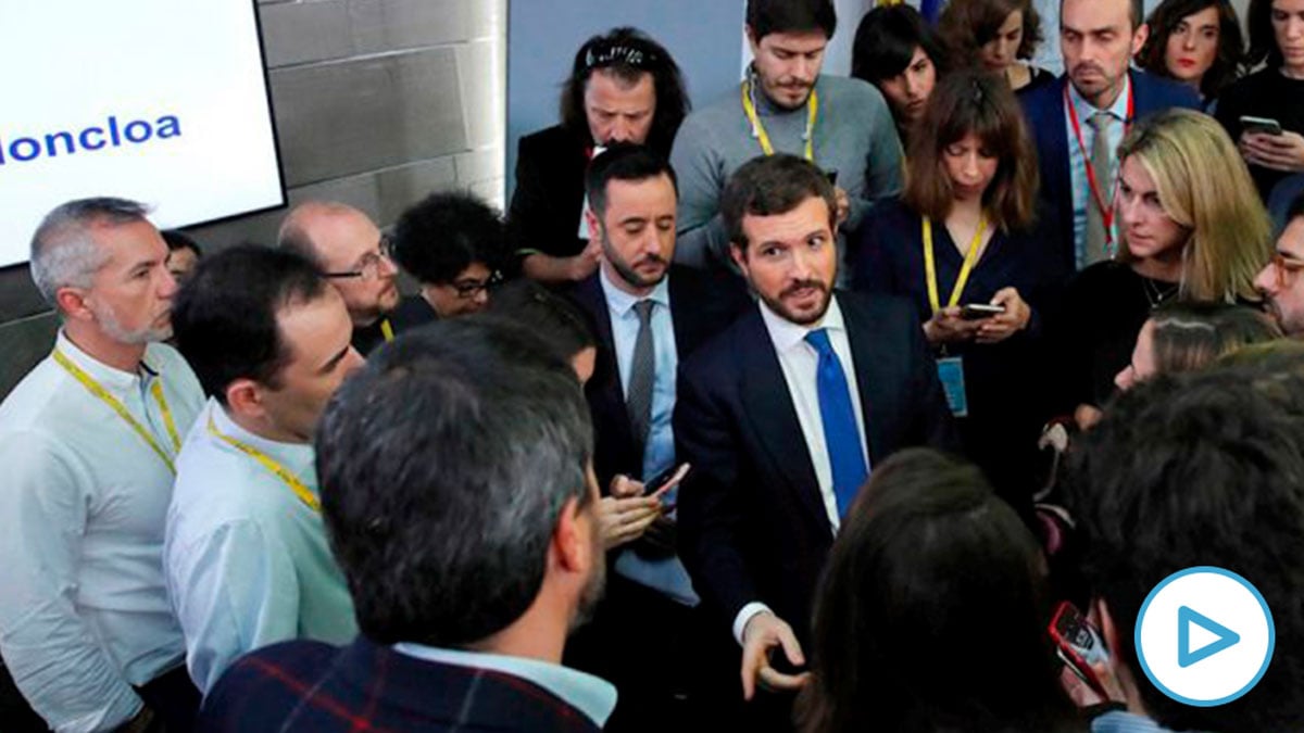 casado8