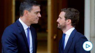 sanchez-casado