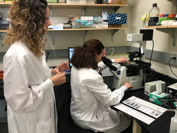 Las españolas Paloma Martínez-Redondo e Isabel Guillén-Guillén trabajando en el laboratorio.