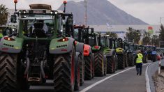 Una fila de agricultores en sus tractores protestan por las condiciones de la economía agraria en España. Foto: EFE