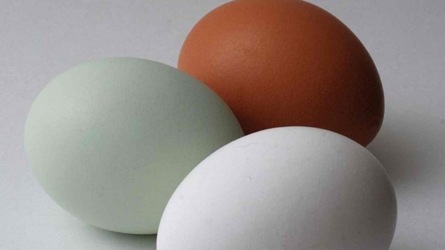 El secreto de los huevos azules: qué son y por qué tienen este color