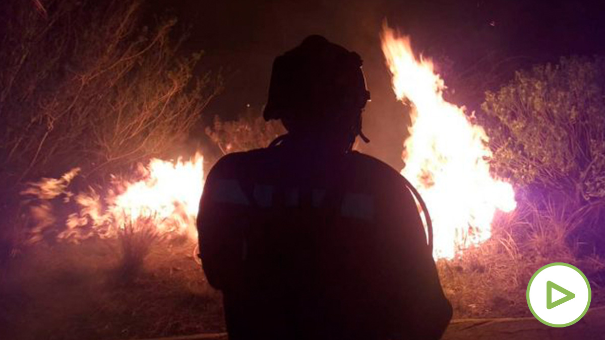 El fuego en Gran Canaria ha arrasado varios cientos de hectáreas. (Ep)