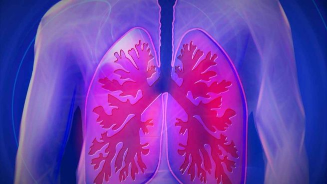 Funcines de los pulmones