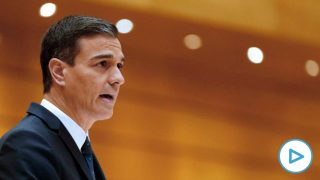 Pedro Sánchez