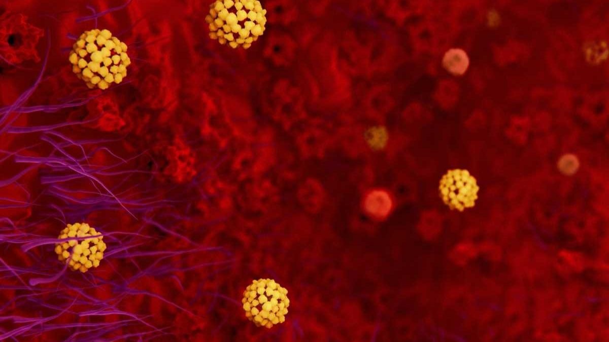 ¿Cuál es el porcentaje de mortalidad del coronavirus