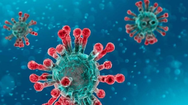 ¿Cuáles son los grupos de riesgo del coronavirus?