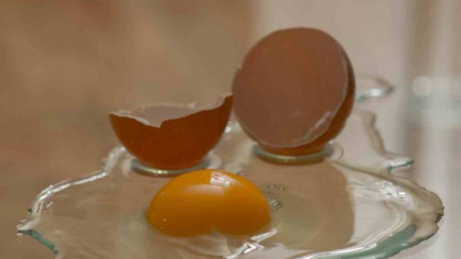Los huevos de gallina y su calidad