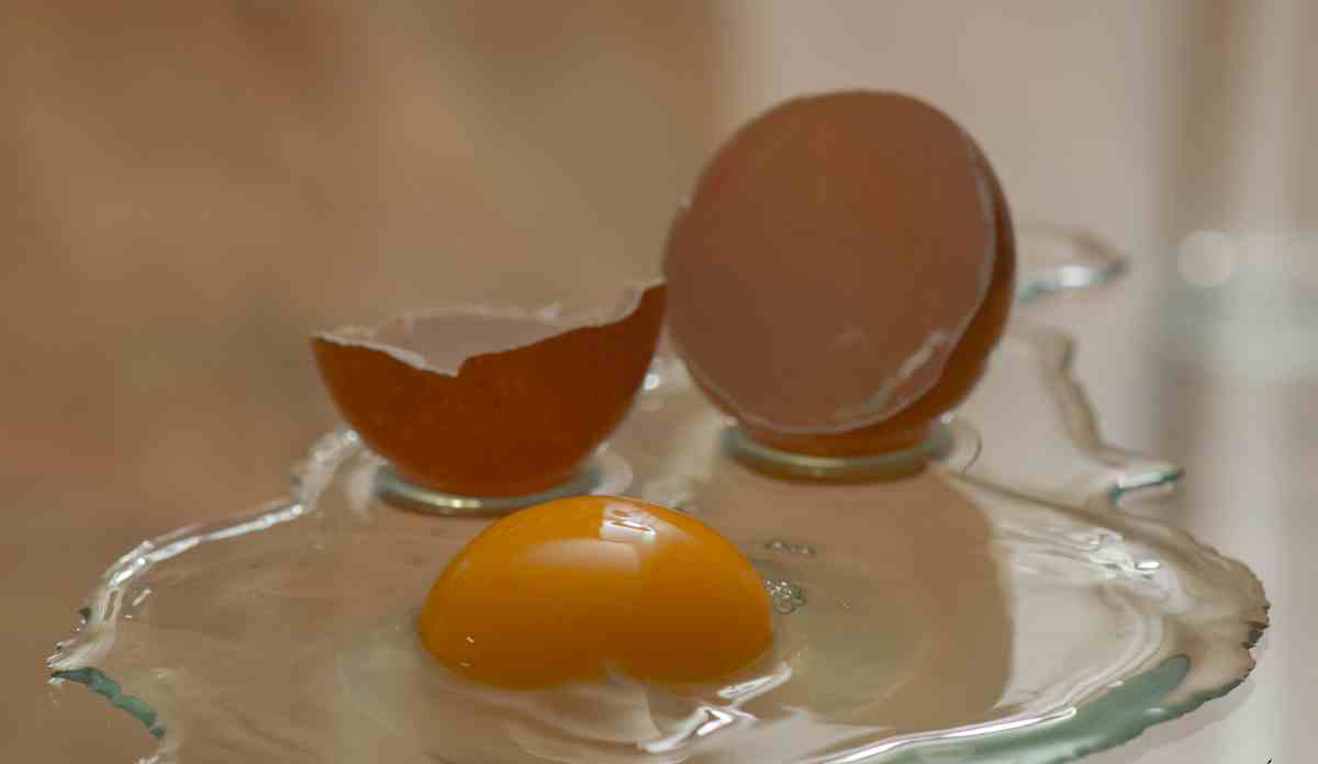 Tips para incrementar la calidad de huevos de gallina