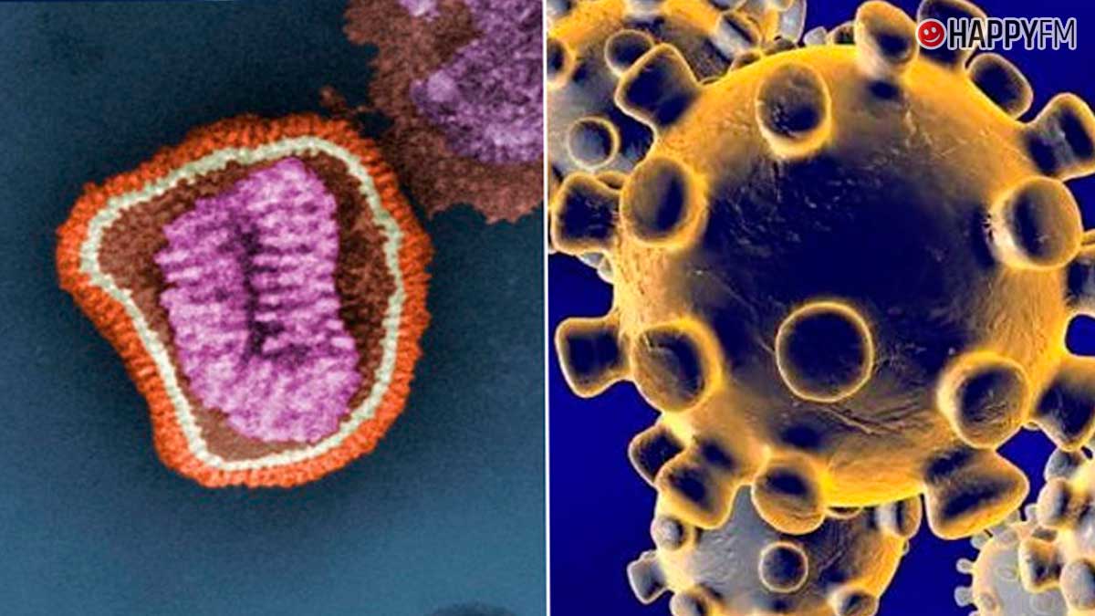 El coronavirus y la gripe desatan una guerra en Twitter: «He venido a matar, no a discutir»