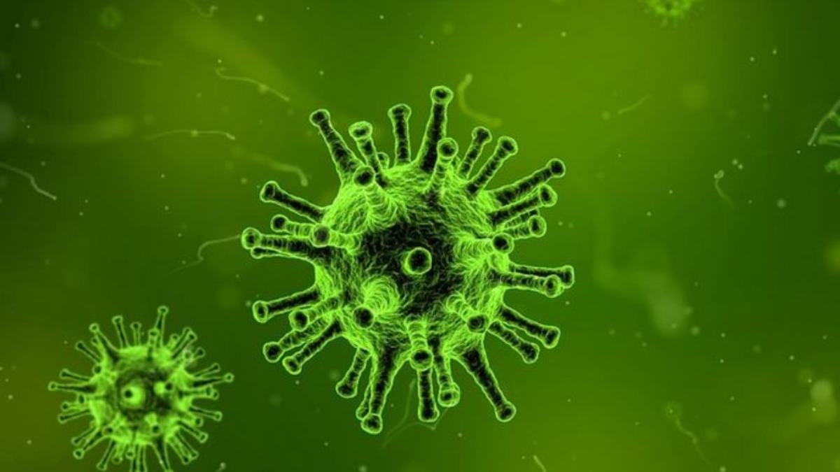 Los extraños casos de los curados de coronavirus que vuelven a dar positivo