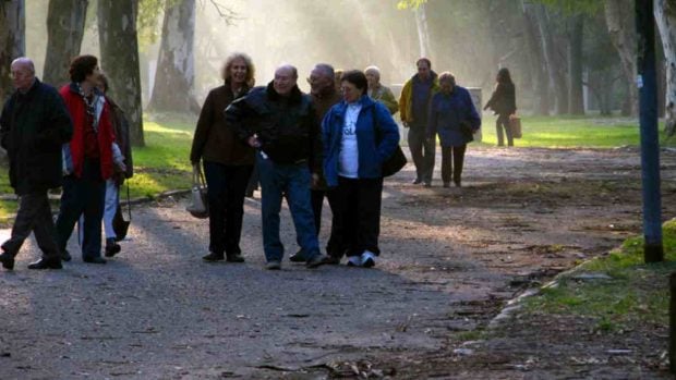 Paseos a nuestros mayores