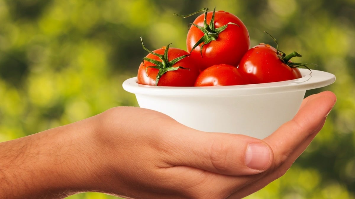 Los tomates son deliciosos y muy poco calóricos