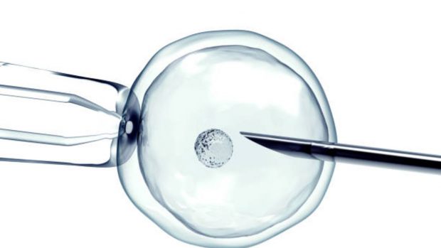 Fecundación in vitro: los elementos que garantizan el éxito