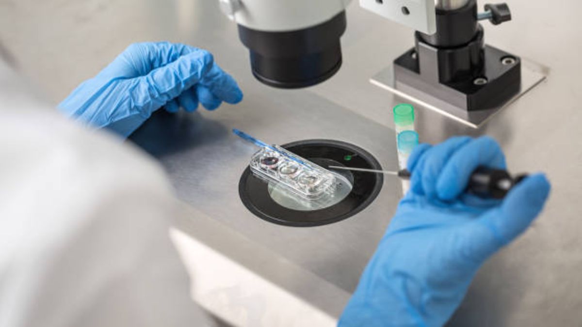 Descubre los factores de éxito a tener en cuenta de la fecundación in vitro