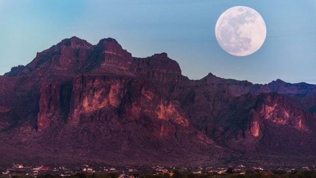 Luna del castor