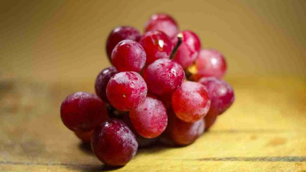 Tratamientos con uva