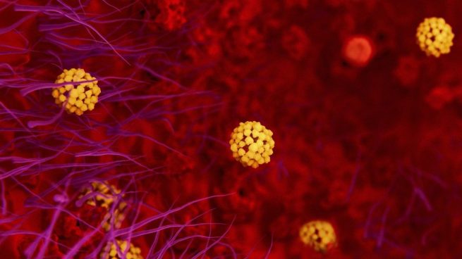 Coronavirus