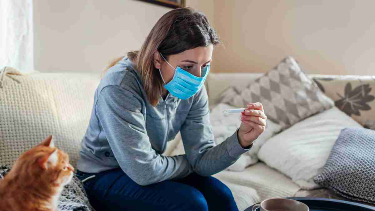 Contagios de mascotas por coronavirus