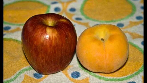 Mermelada de manzana y melocotón 