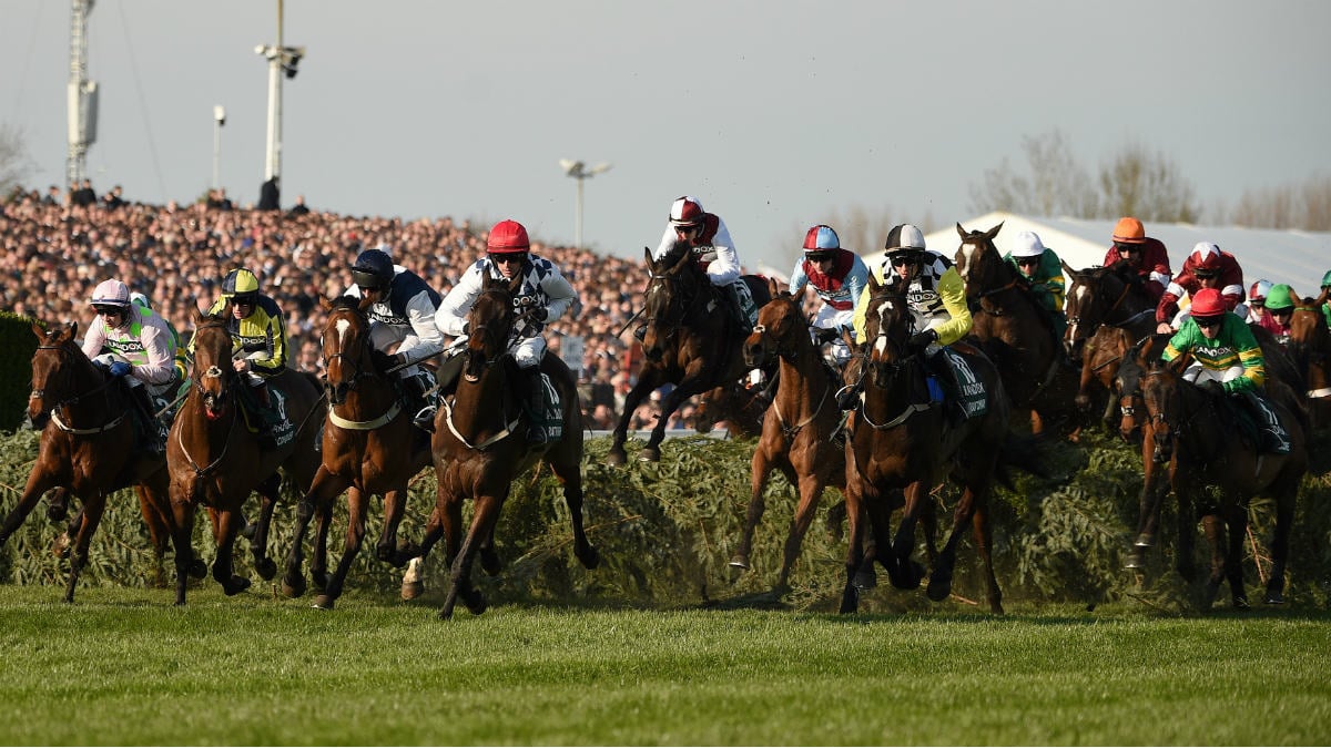 Imagen del Grand National disputado en Aintree (Liverpool), en 2019 (AFP).