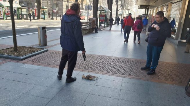Facebook: Un hombre de Bilbao saca a pasear a su centollo