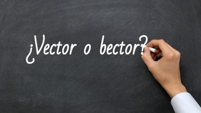 Cómo se escribe vector o bector