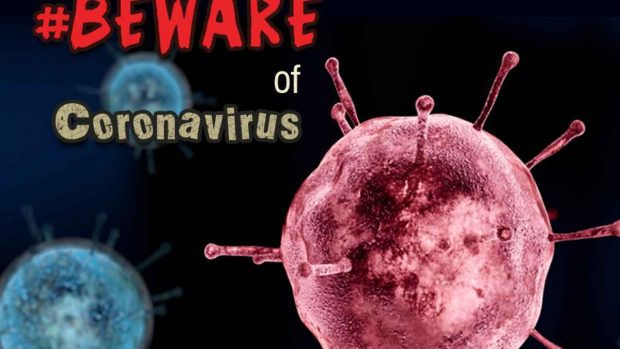 Tipos de coronavirus