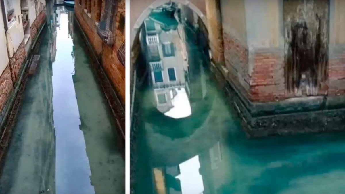 Así de transparantes están las aguas de Venecia por la falta de turistas