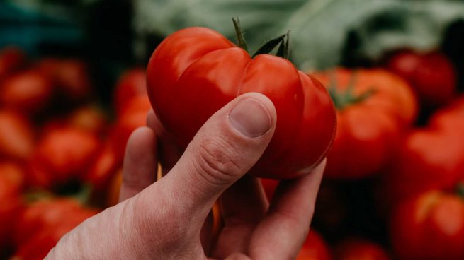 Conservar tomates