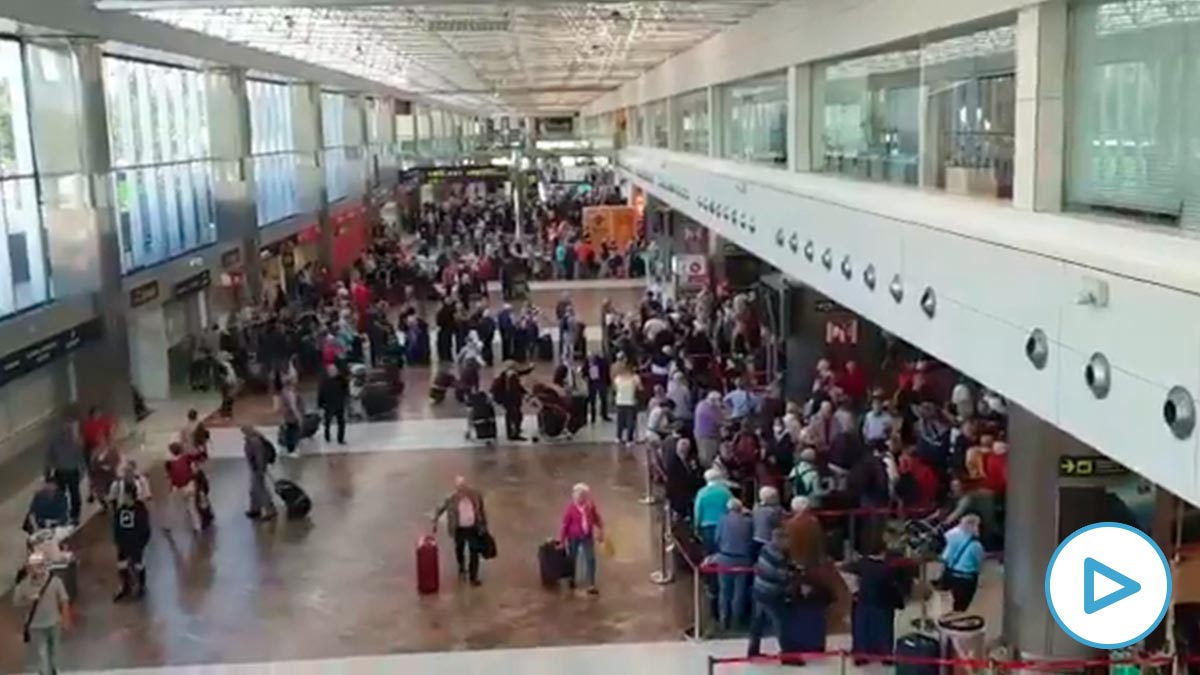 Colas de pasajeros sin guardar la distancia este jueves en el aeropuerto de Tenerife Sur. (Fuente: @SindicatoCESHA)