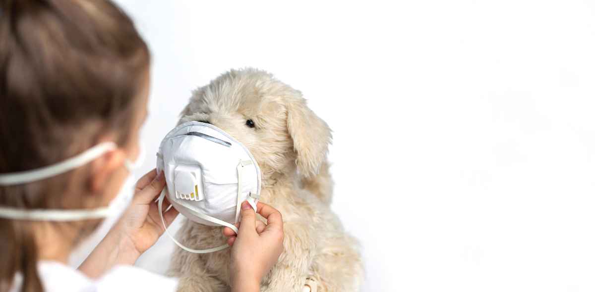 Coronavirus y tu mascota