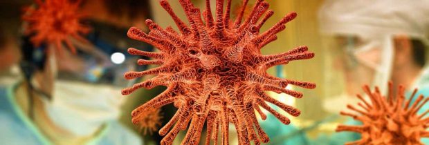 VIrus del Covid-19