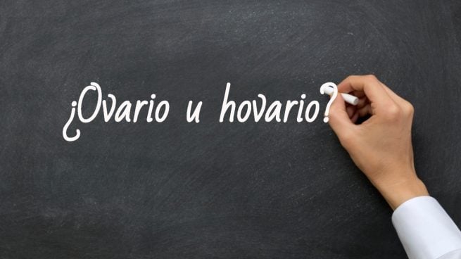 Cómo se escribe ovario u hovario