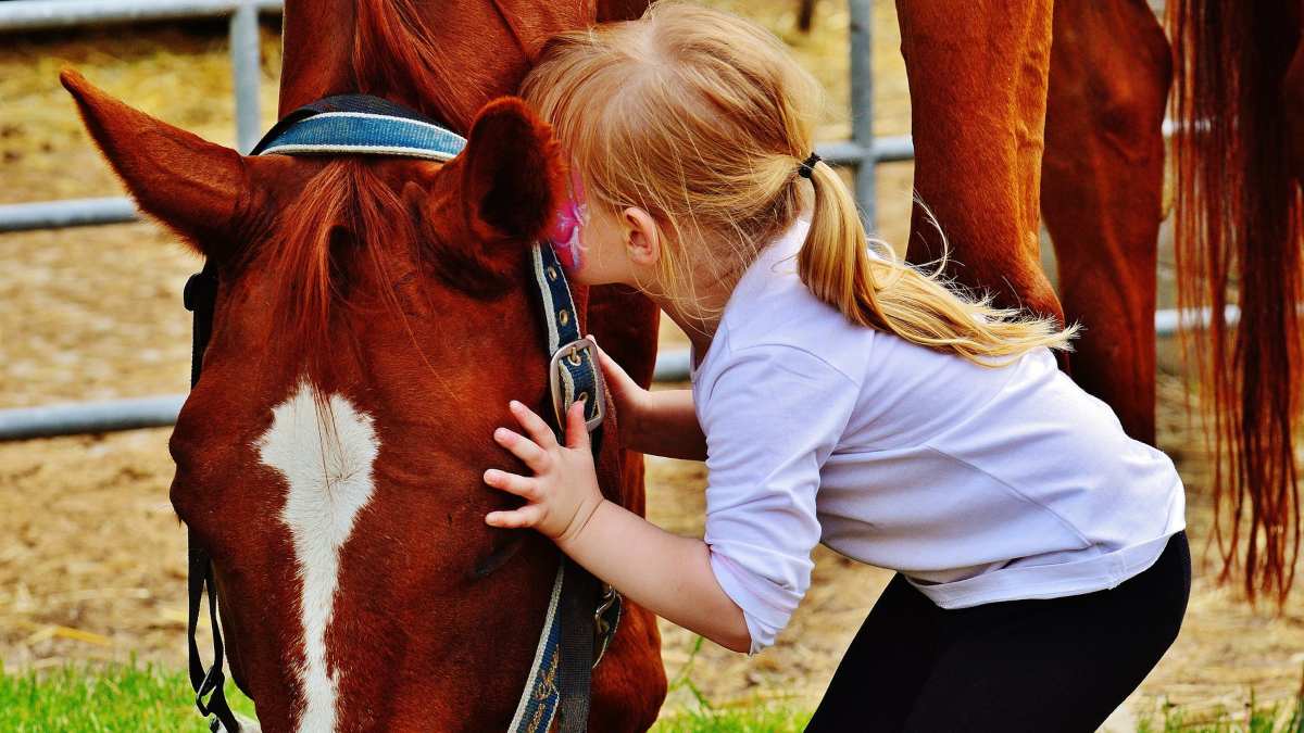 Clases de terapias con caballos