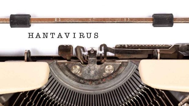 &iquest;Qu&eacute; es el hantavirus?