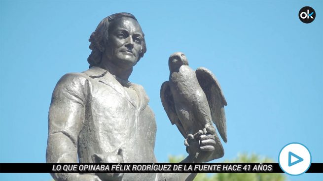 Ver vídeo