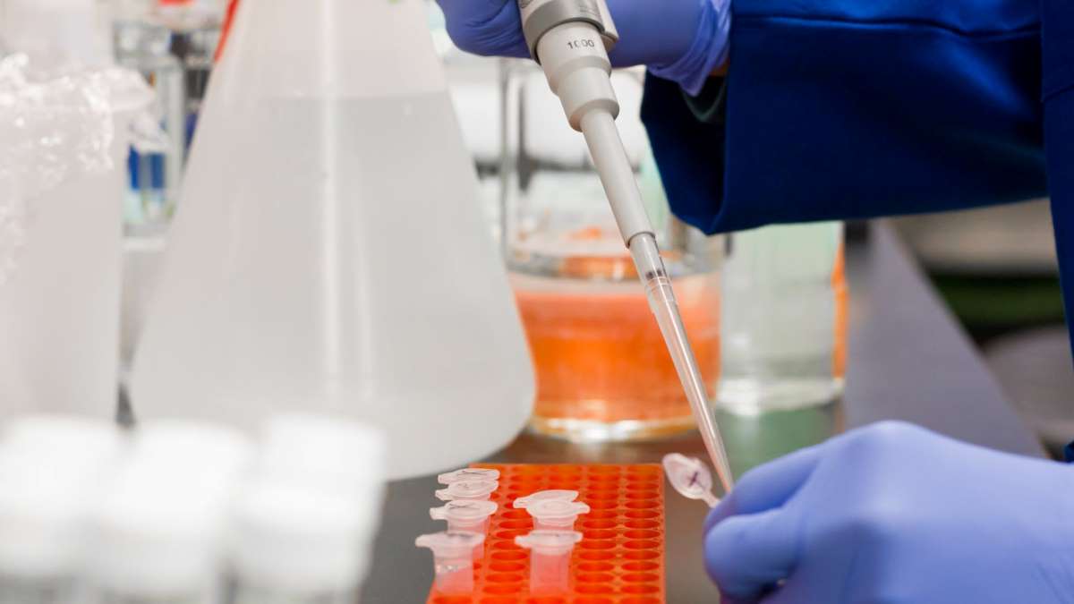 Científicos de todo el mundo trabajan sin descanso en busca de la vacuna para el coronavirus