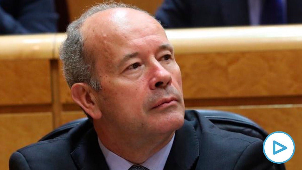 El ministro de Justicia, Juan Carlos Campo, en el Senado. (Foto. PSOE)