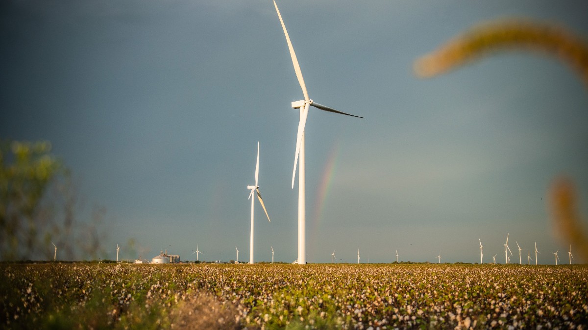 Parque eólico de Iberdrola de Karankawa en Estados Unidos.