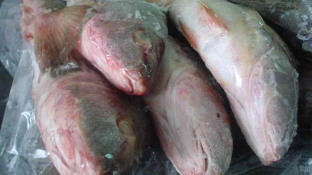 Lomos de corvina en salsa de melocotón