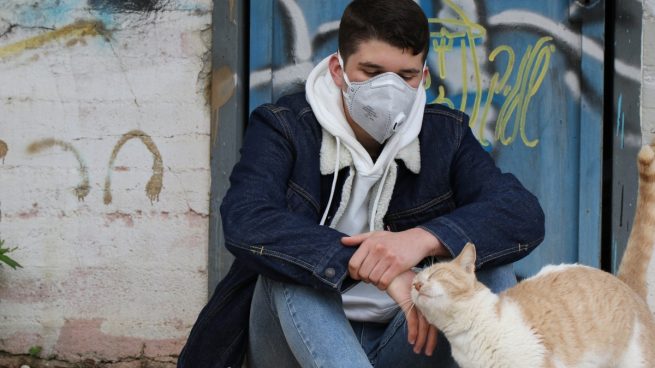 Gatos y coronavirus