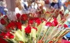Sant Jordi frases