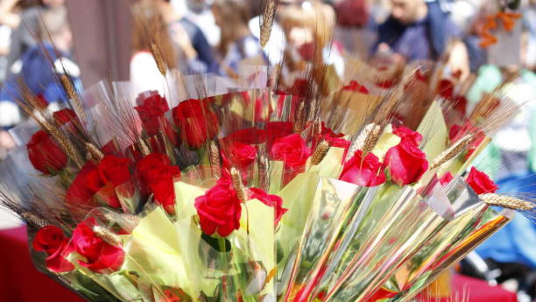 Las mejores frases para felicitar Sant Jordi