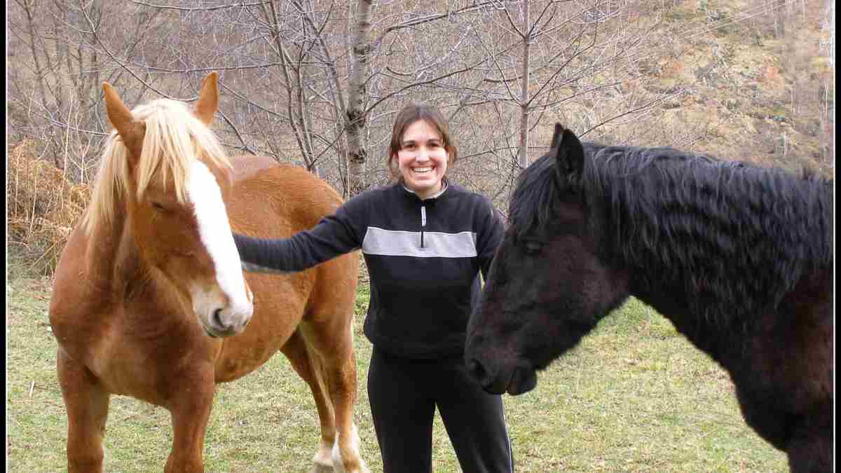 Tips para tratar a tu caballo