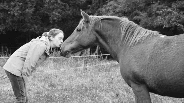 ¿Cómo acariciar a tu caballo?