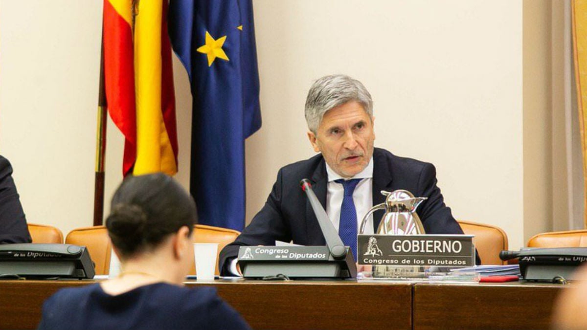 El ministro del Interior, Fernando Grande-Marlaska, (Foto: Congreso)