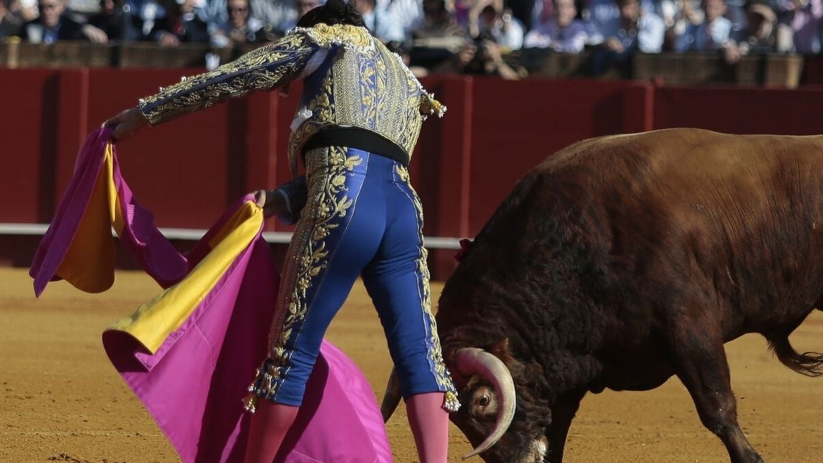 Toros en la Feria de Abril 2020